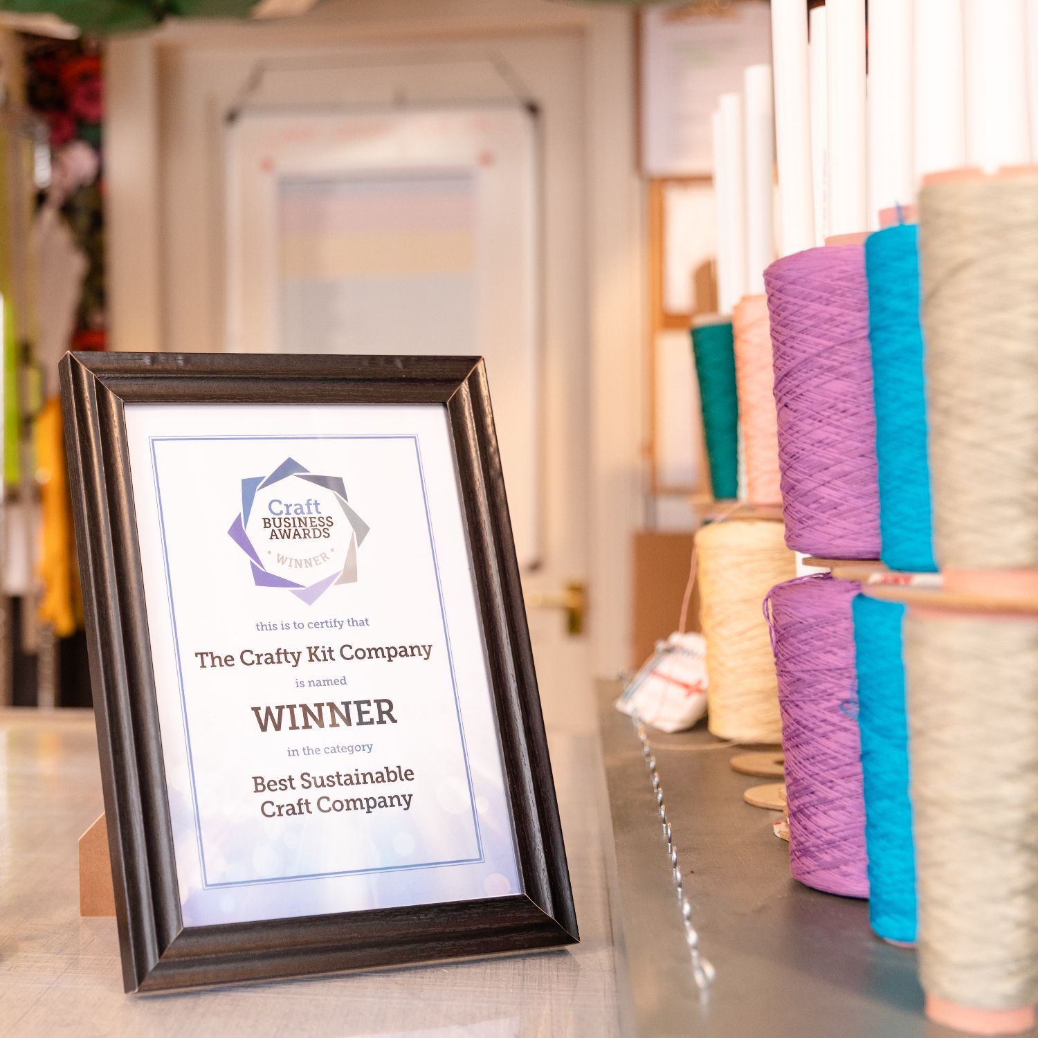 The Crafty Kit Company voted Best Sustainable Craft Company in the Craft Business Awards